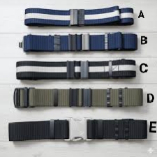 Security belt